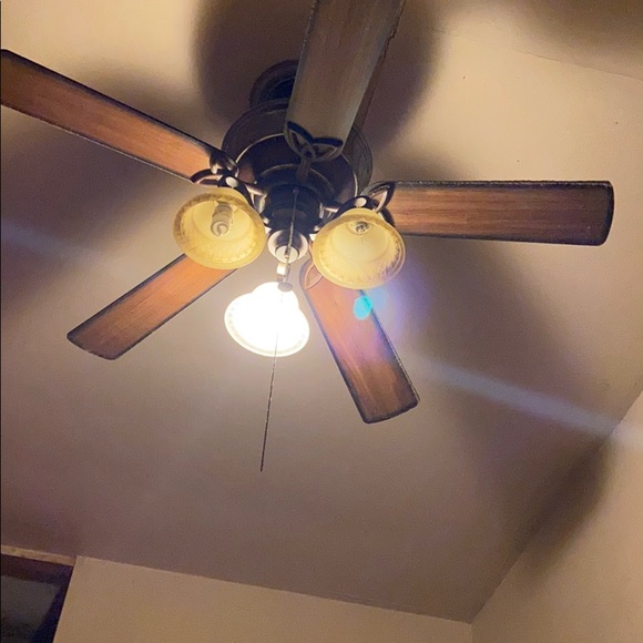 Meet your Posher, Amanda - Picture 1 of 1